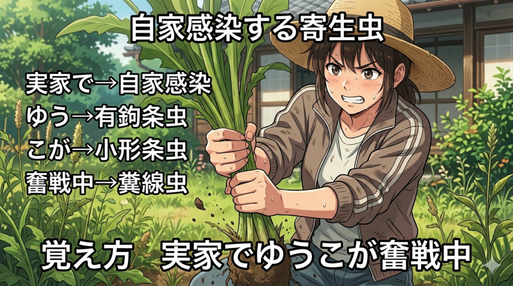 自家感染する寄生虫の覚え方（ゴロ）【実家でゆうこが奮戦中】