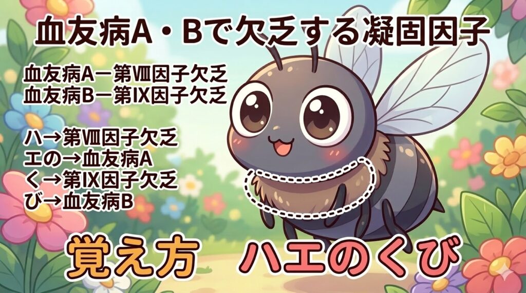 血友病A・Bで欠乏する凝固因子の覚え方（ゴロ）【ハエのくび】
