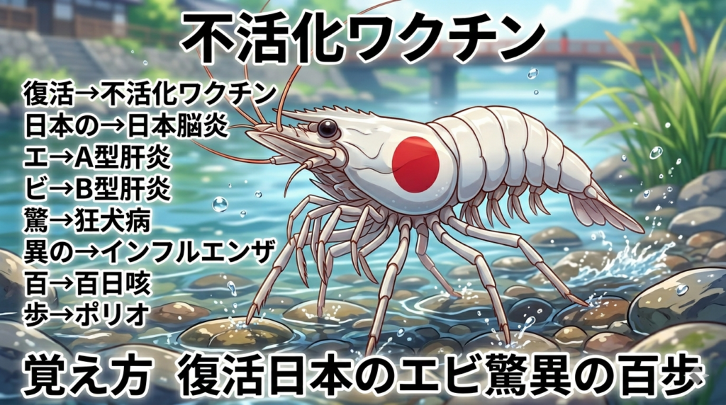 不活化ワクチンの覚え方（ゴロ）【復活日本のエビ驚異の百歩】