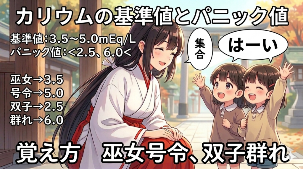 カリウムの基準値とパニック値の覚え方（ゴロ）【巫女号令、双子群れ】